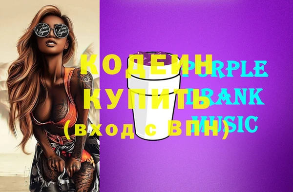 соль ск Кукмор